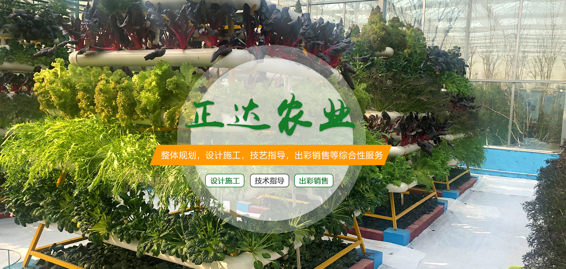 濰坊金盟溫室工程有限公司